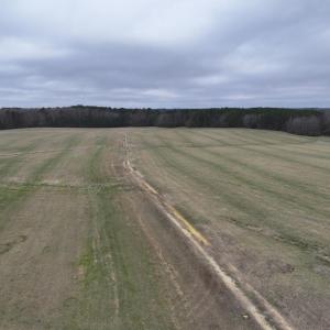 Screenshot 2026-03-09 114237