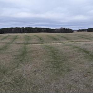 Screenshot 2026-03-09 114216