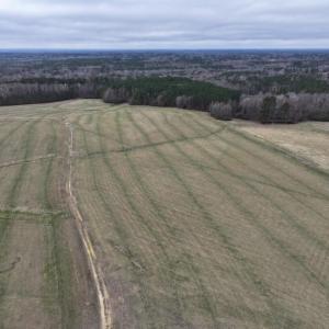 Screenshot 2026-03-09 113138