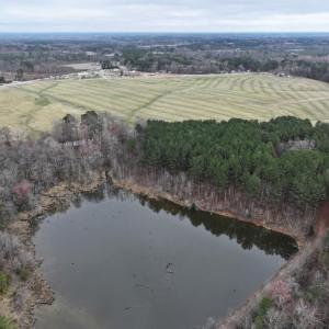 Screenshot 2026-03-09 113113