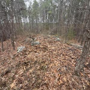 DJI_20260303_131246_976