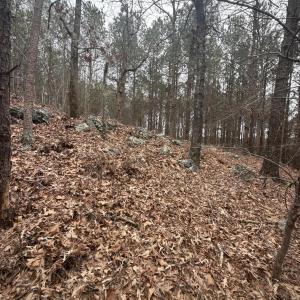 DJI_20260303_131227_743