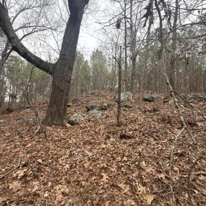 DJI_20260303_131222_261