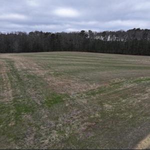 Screenshot 2026-03-09 113635