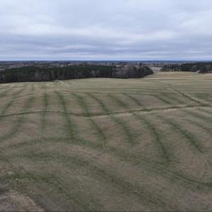 Screenshot 2026-03-09 114201