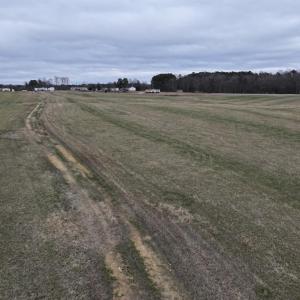 Screenshot 2026-03-09 114146