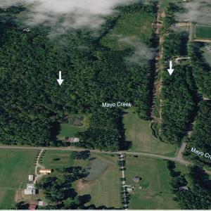 Parham Rd. Aerial 3