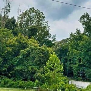 Photo #9 of Parham, Roxboro, NC 14.8 acres