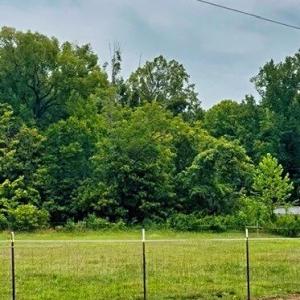 Photo #1 of Parham, Roxboro, NC 14.8 acres