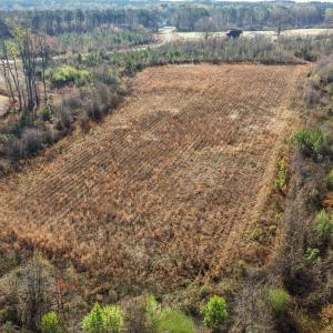 7-web-or-mls-DJI_20260313094956_0007_D