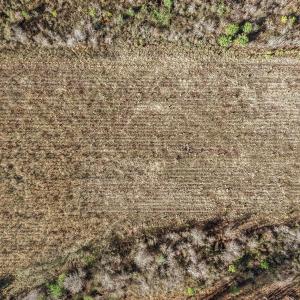 12-web-or-mls-DJI_20260313095234_0012_D