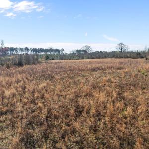 8-web-or-mls-DJI_20260313095016_0008_D