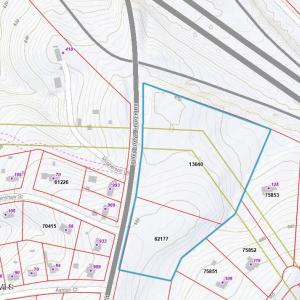 piney grove lot outline