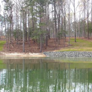 Water views (6)