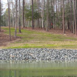 Water views (9)