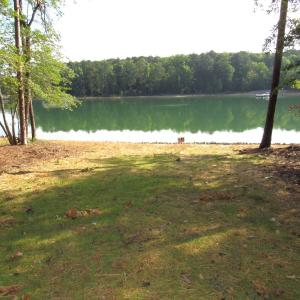 lot 10 (3)
