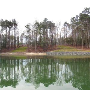 Water views (7)