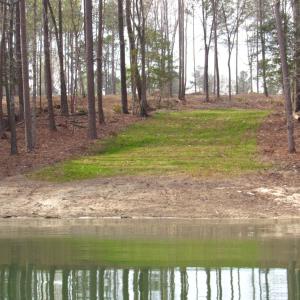 Water views (10)