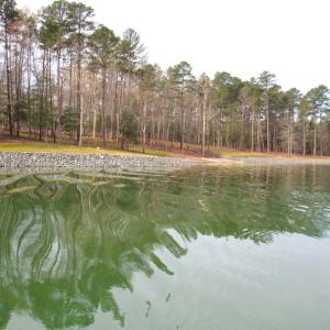 Water views (11)