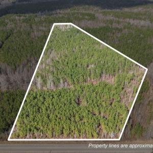 17-web-or-mls-DJI_20260306141449_0218_D_