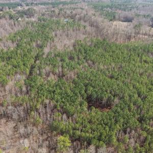 3-web-or-mls-DJI_20260306140957_0215_D