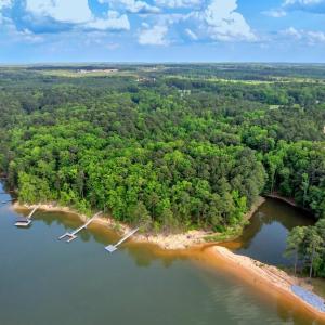 Buchanan Dock from Drone