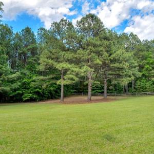 Buchanan Front Field