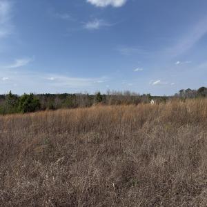 0 Burgess Road, Middlesex, NC 27557