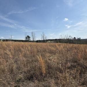 0 Burgess Road, Middlesex, NC 27557