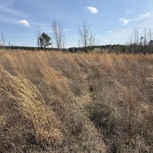 0 Burgess Road, Middlesex, NC 27557