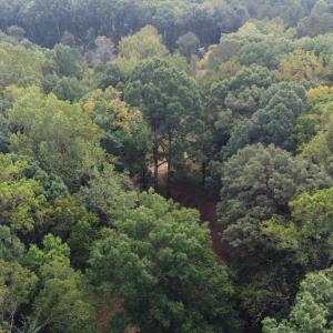 DJI_0399