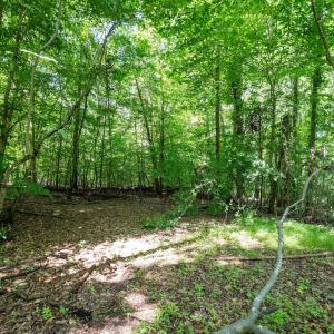 Photo #7 of 6910 Long Meadow, Whitsett, NC 20.6 acres