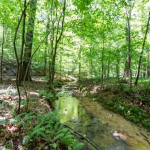 Photo #13 of 6910 Long Meadow, Whitsett, NC 20.6 acres