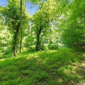 Photo #16 of 6910 Long Meadow, Whitsett, NC 20.6 acres