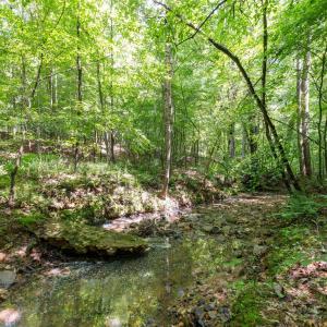 Photo #12 of 6910 Long Meadow, Whitsett, NC 20.6 acres