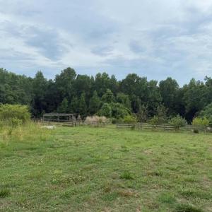 IMG_4548