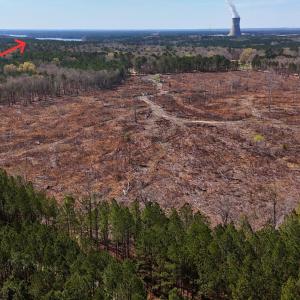 New Hill Holleman Rd 4