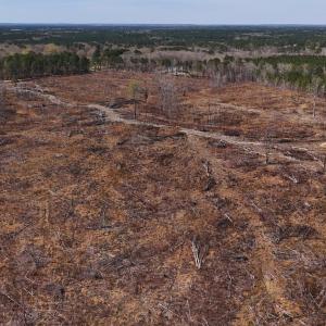 New Hill Holleman Rd 6