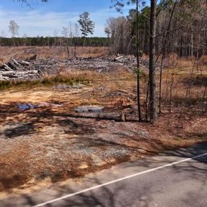 New Hill Holleman Rd 7