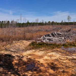 New Hill Holleman Rd 8