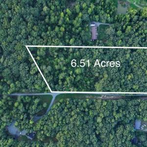 bass mountain aerial 2