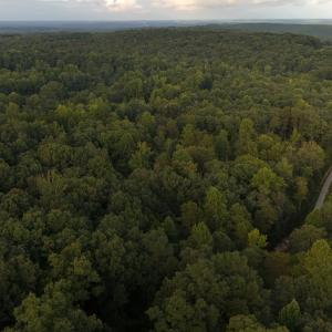 N-NE View of property
