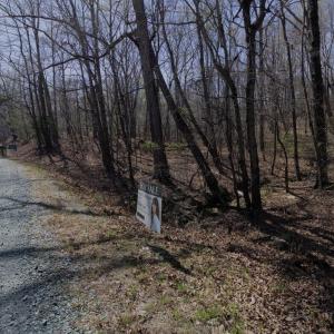 Aerial S POV 100 Frontage Bass Mountain