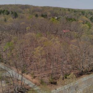 Aerial SE POV 200 Bass Mountain 2