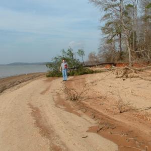 Duskany, Lot 5, beach