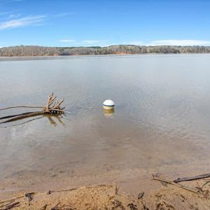 20-DJI_20260310093741