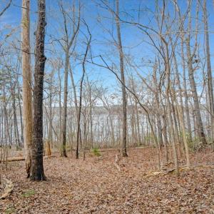 31-DJI_20260310094401