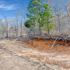 19-DJI_20260310093728