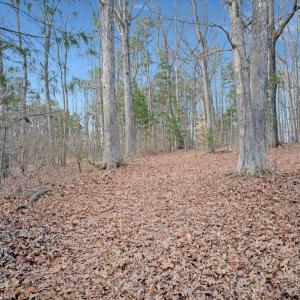 26-DJI_20260310094138