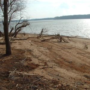 Duskany, Lot 5, beach2